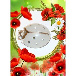 Vintage‎ Avon Lucite Ladybug Brooch